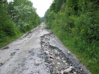 LC Homzová, k.ú. Osturňa, - UaKPS Osturňa