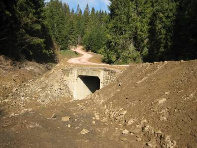 LC Pod Kaverou, Levočské vrchy - Lesy mesta Levoča