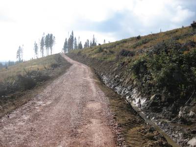 LC Pod Kaverou, Levočské vrchy - Lesy mesta Levoča