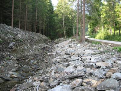 LC Surovec, k.ú. Nálepkovo - OL Nálepkovo