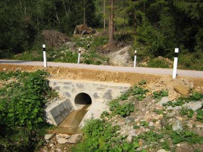 LC Surovec, k.ú. Nálepkovo - OL Nálepkovo