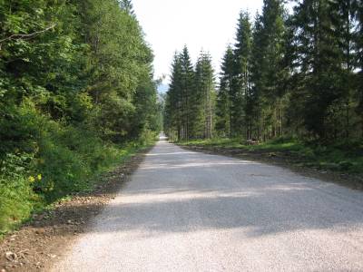 LC Surovec, k.ú. Nálepkovo - OL Nálepkovo