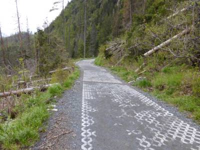 Úprava chodníka na Rainerovu chatu - TANAP